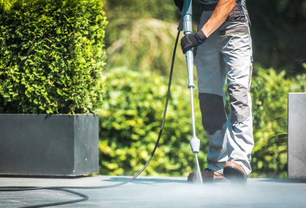 Best Solar Panel Cleaning  in Fabens, TX